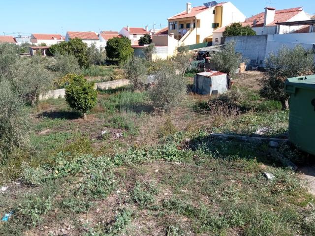 Terreno venda em Abrantes, Santarém