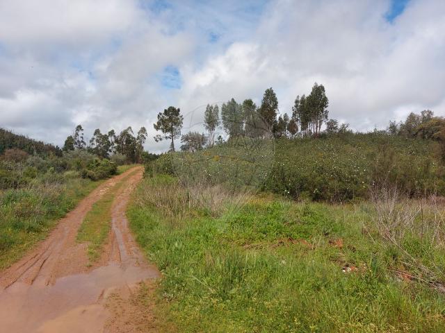 Terreno venda em Abrantes, Santarém
