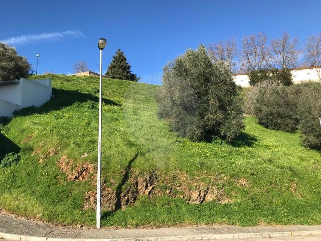 Terreno venda em Abrantes, Santarém