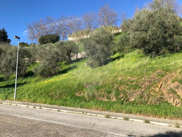 Terreno venda em Abrantes, Santarém