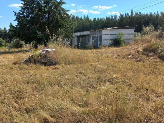Terreno venda em Abrantes, Santarém