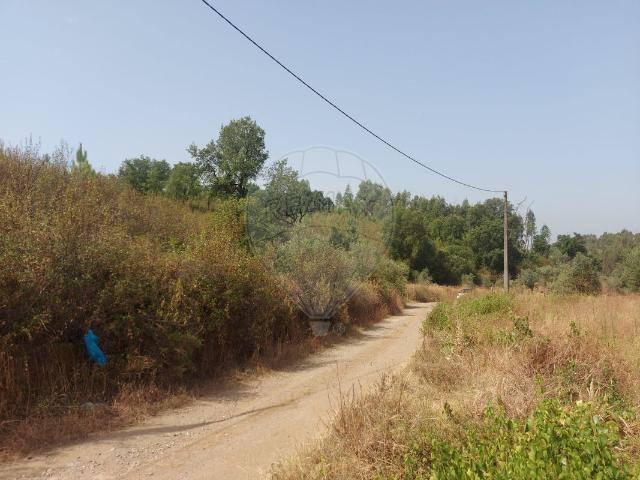 Terreno venda em Abrantes, Santarém