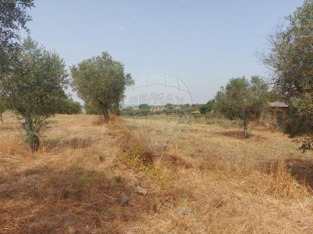 Terreno venda em Abrantes, Santarém