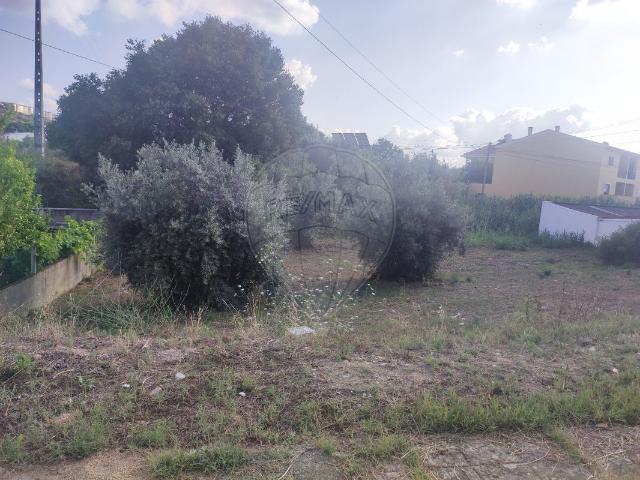 Terreno venda em Abrantes, Santarém