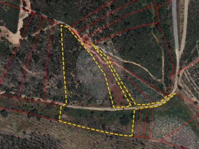 Terreno venda em Abrantes, Santarém