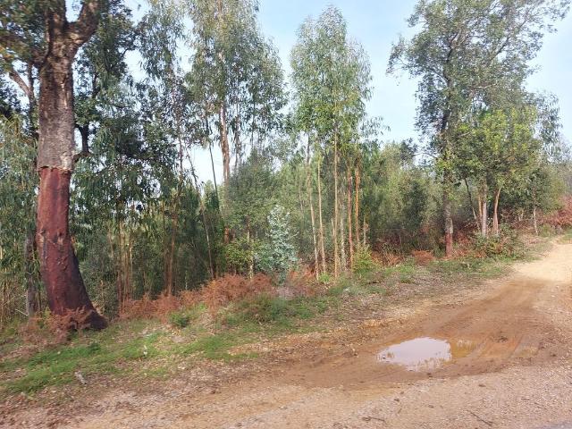 Terreno venda em Entre Serras, Abrantes