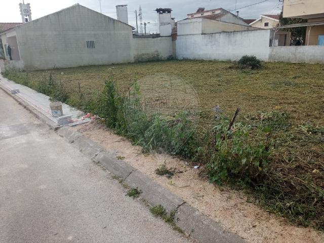 Terreno venda em Abrantes (São Vicente e São João) e Alferrarede, Abrantes