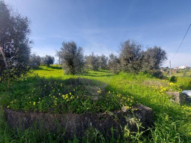 Terreno venda em Abrantes, Santarém