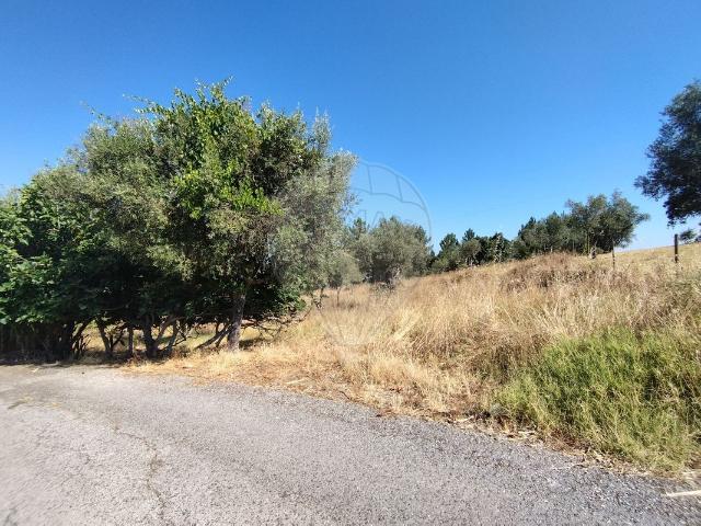 Terreno venda em Abrantes, Santarém