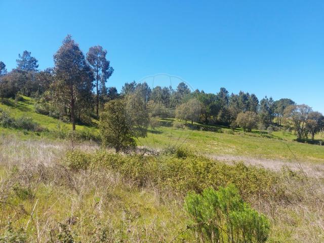 Terreno venda em Entre Serras, Abrantes