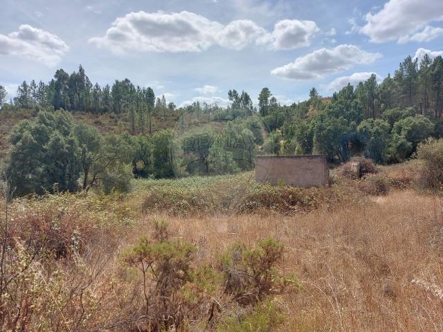 Terreno venda em Abrantes, Santarém