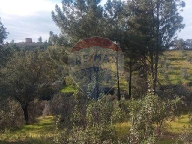 Terreno venda em Abrantes, Santarém