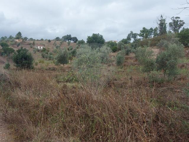 Terreno venda em Abrantes, Santarém