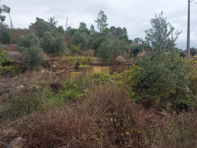 Terreno venda em Abrantes, Santarém