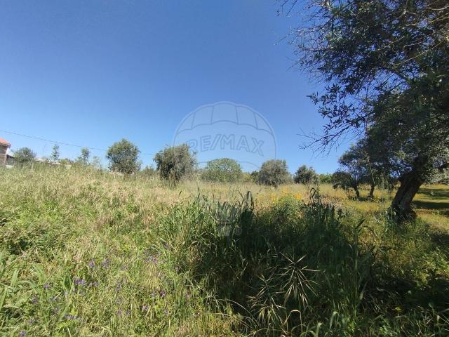 Terreno venda em Abrantes, Santarém
