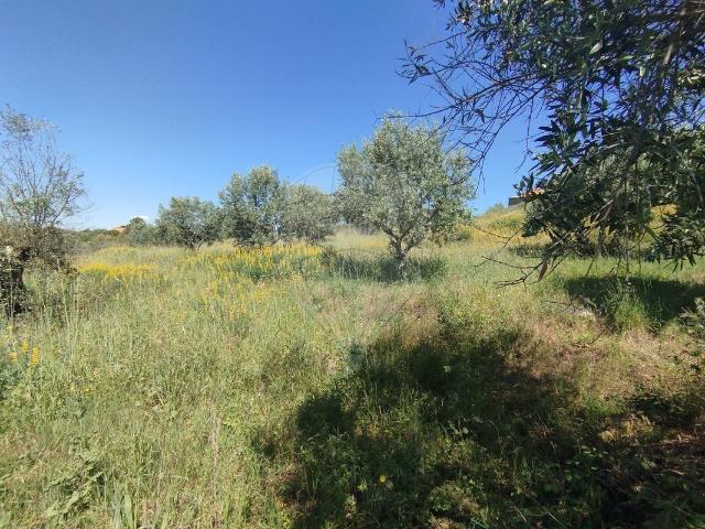 Terreno venda em Engarnais Fundeiros, Abrantes