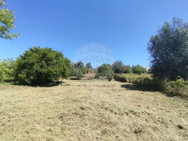 Terreno venda em Abrantes, Santarém
