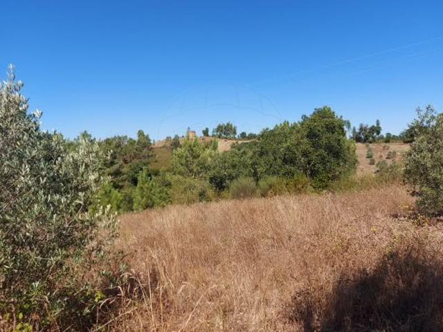 Terreno venda em Abrantes, Santarém