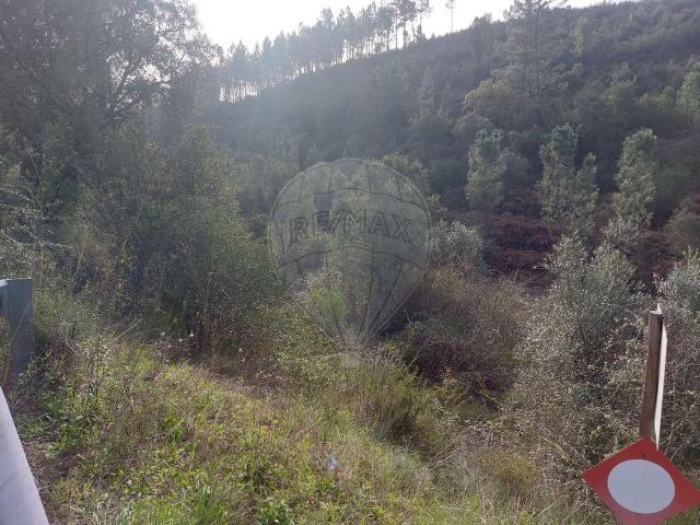 Terreno venda em Entre Serras, Abrantes