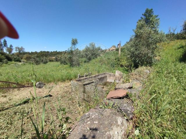 Terreno venda em Abrantes, Santarém