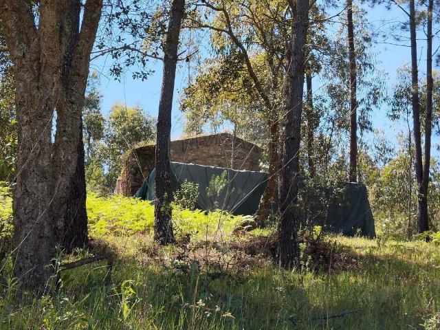 Terreno venda em Abrantes, Santarém