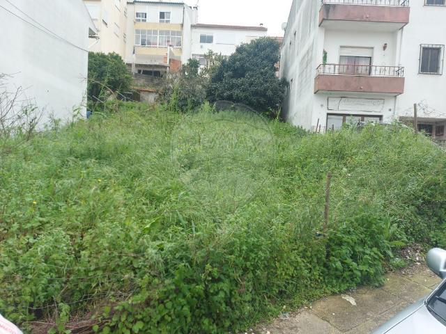 Terreno venda em Abrantes, Santarém