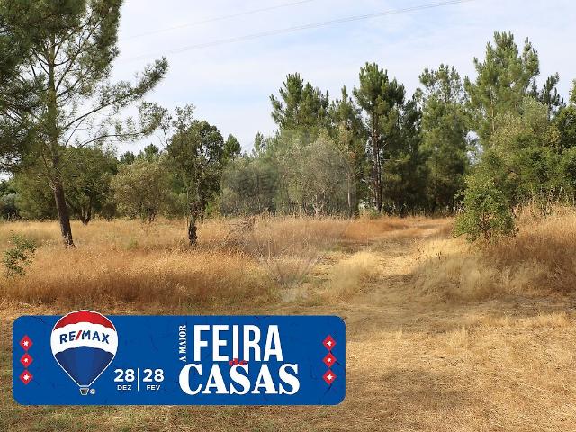 Terreno venda em Pego, Abrantes