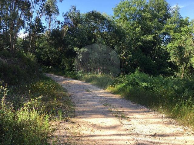 Terreno venda em Abrantes, Santarém