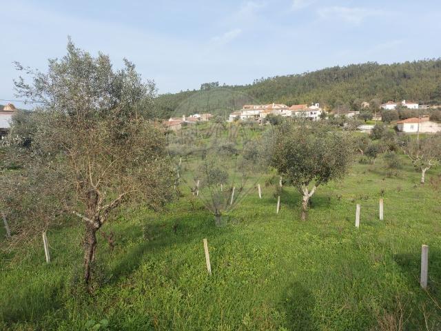 Terreno venda em Entre Serras, Abrantes