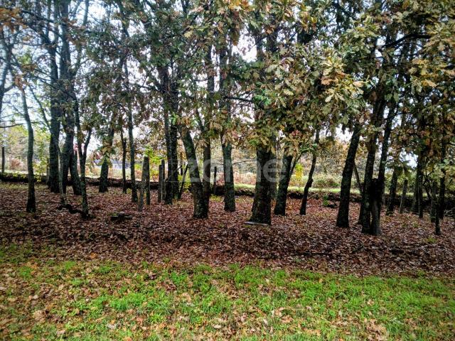 Terreno venda em Póvoa de Abraveses, Viseu