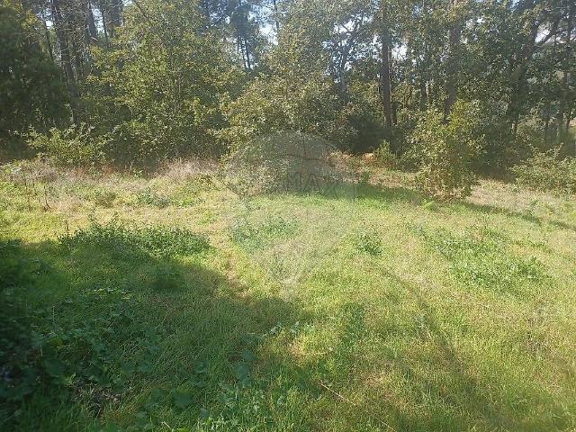 Terreno venda em Fontela, Vila Real