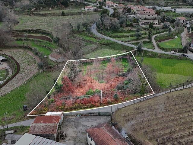 Terreno venda em Agilde, Celorico de Basto