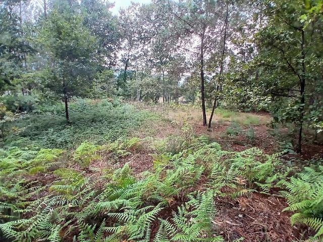 Terreno venda em Agrela e Serafão, Fafe