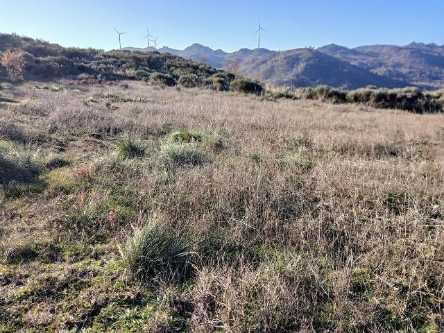 Terreno venda em Quinta do Clérigo, Águas Belas