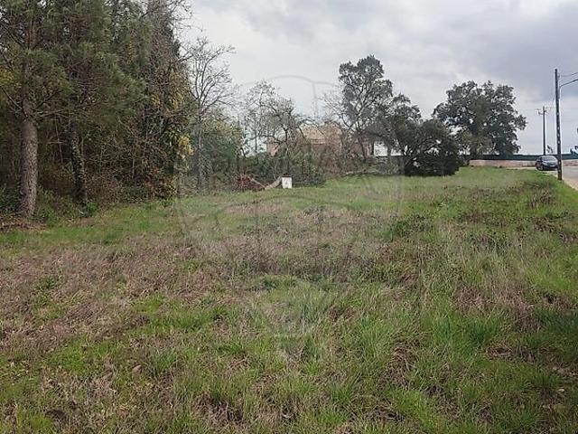 Terreno venda em Aguda, Figueiró dos Vinhos