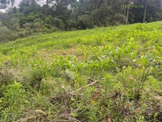 Terreno venda em Região Geográfica Imediata de Curitiba, Região Metropolitana de Curitiba
