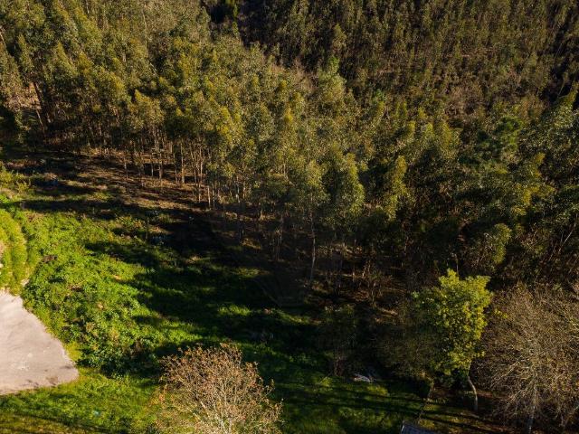 Terreno venda em Catraia de Assequins, Águeda