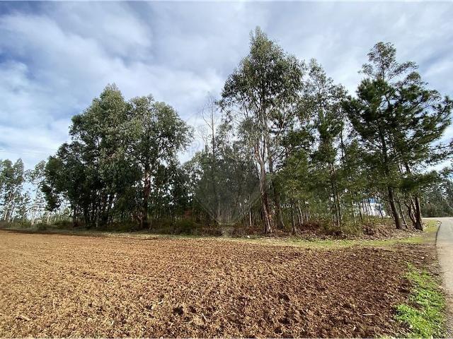 Terreno venda em Vale Domingos, Águeda