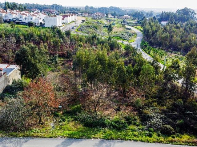 Terreno venda em Vale Domingos, Águeda