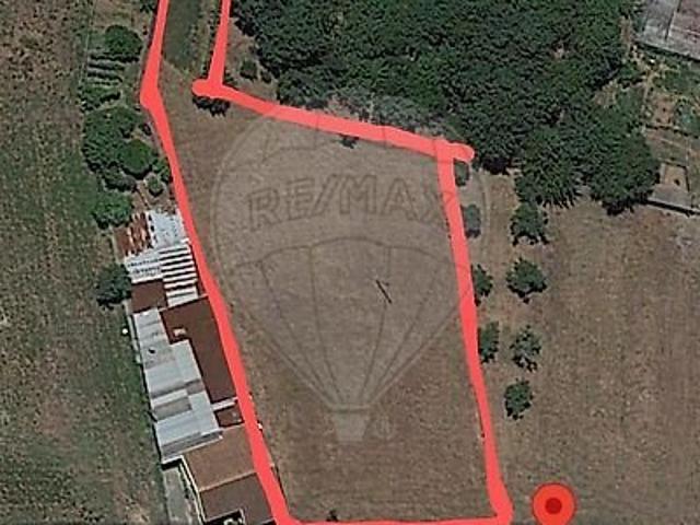Terreno venda em Águeda