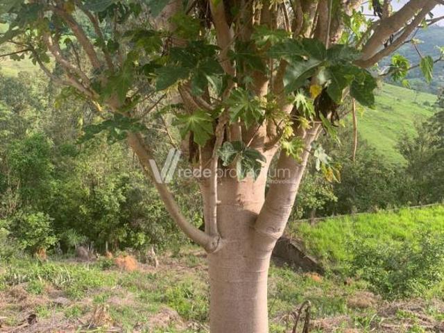Terreno venda em Região Imediata de Amparo, Monte Alegre do Sul