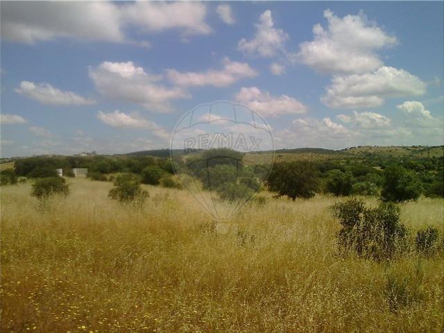 Terreno venda em São Pedro Terena, Évora