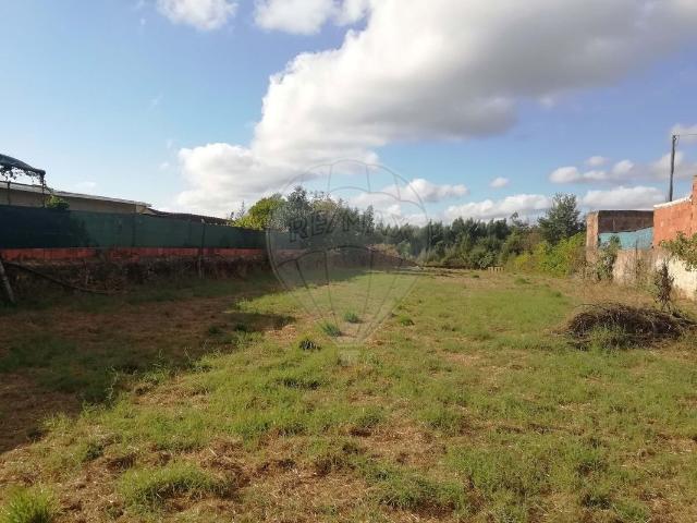 Terreno venda em Albergaria-a-velha, Aveiro