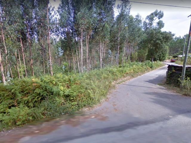 Terreno venda em Albergaria-a-velha, Aveiro