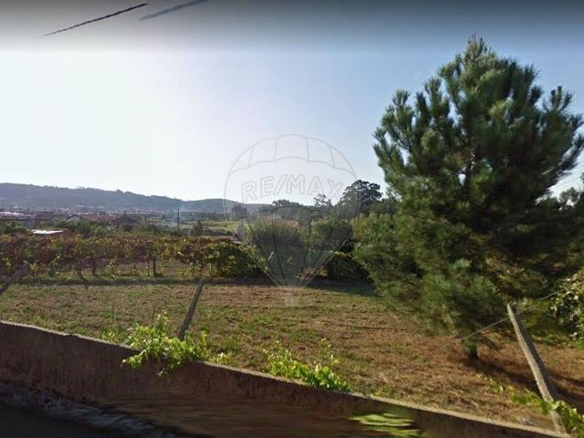 Terreno venda em Albergaria-a-velha, Aveiro