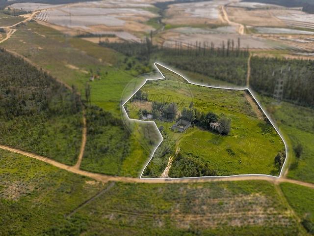 Terreno venda em Albergaria-a-Velha e Valmaior, Albergaria-a-Velha