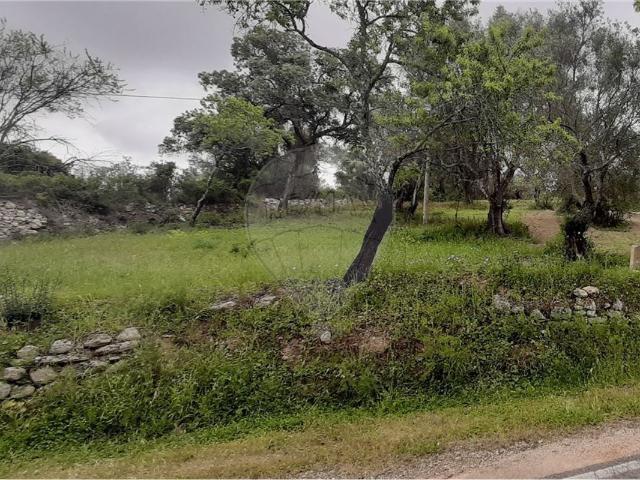 Terreno venda em Albufeira e Olhos de Água, Albufeira