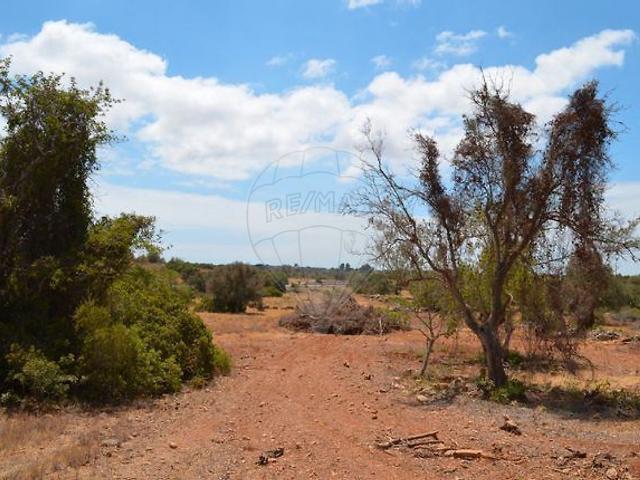 Terreno venda em Albufeira, Faro
