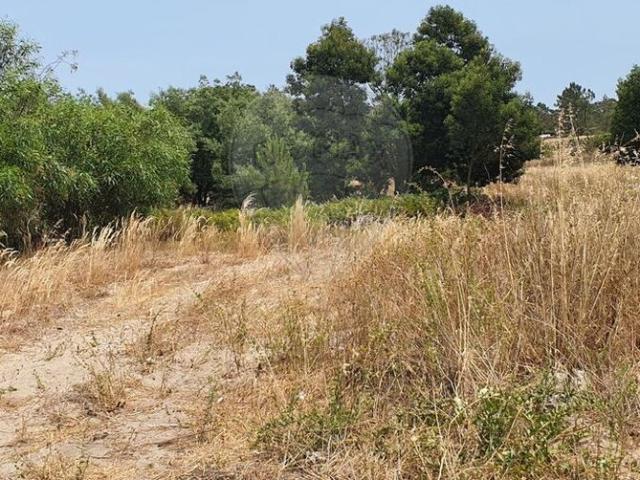 Terreno venda em Possanco, Alcácer Do Sal