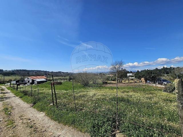 Terreno venda em Alcafache, Mangualde